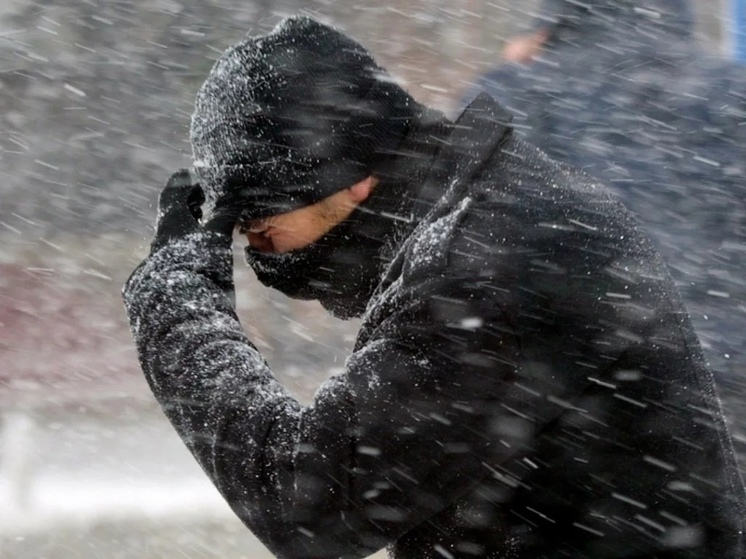 Ярославцев предупредили о снежно-дождевой буре