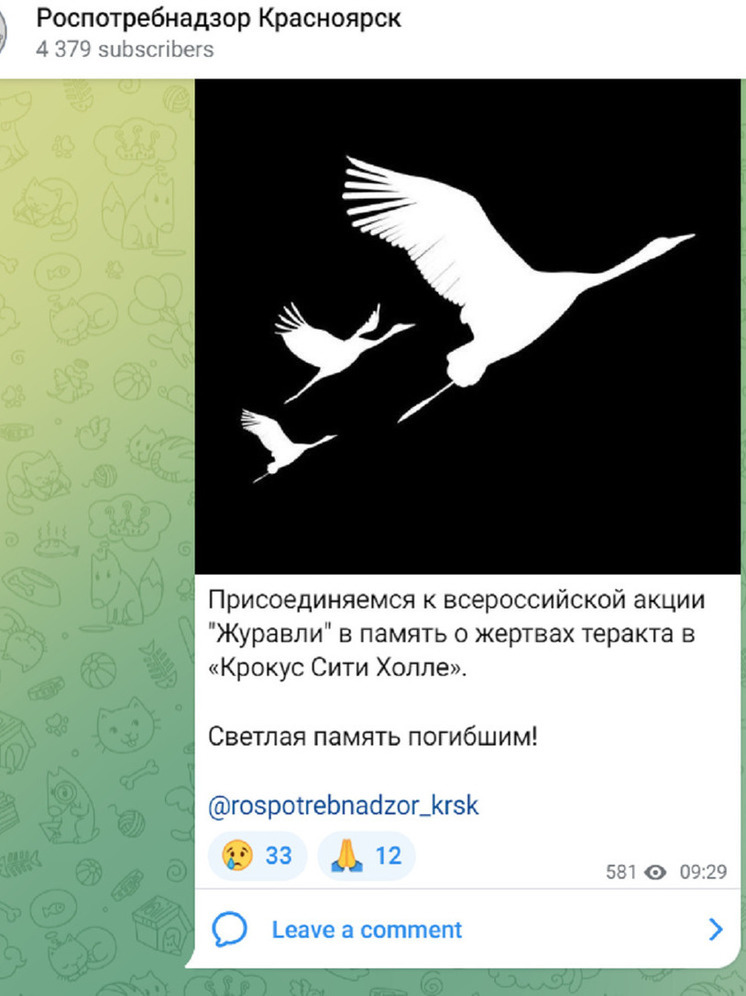 Красноярский Роспотребнадзор поддержал акцию «Журавли»
