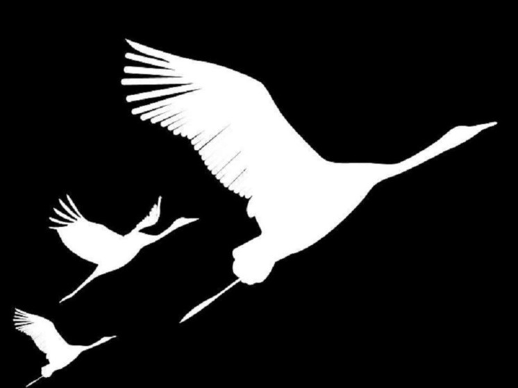 Приморцы могут присоединиться к акции «Журавли» памяти жертв теракта в «Крокусе»