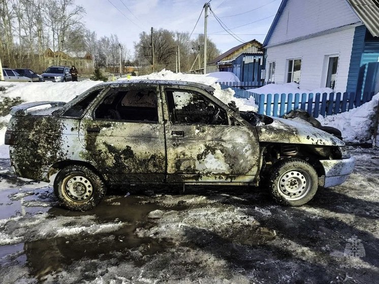 В Омской области за выходные сгорели четыре автомобиля
