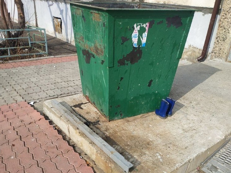 В Хабаровске решат проблему переполненных мусором контейнеров