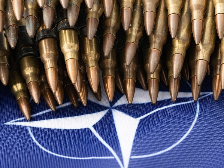 Кнайсль: НАТО избавляется от просроченных боеприпасов на Украине, как раньше в Югославии
