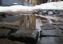 Облачная с прояснениями погода ожидается в Ленобласти в понедельник, 25 марта. Об этом сообщила пресс-служба ГУ МЧС России по 47-му региону.