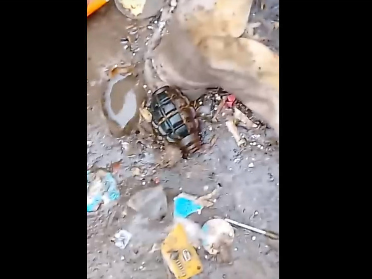 На Михайловском шоссе в Рязани дети нашли гранату возле мусорных баков