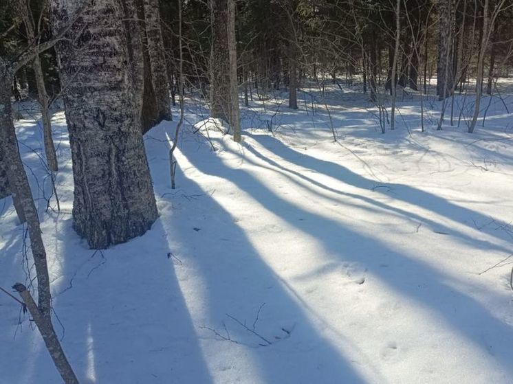 Синоптик рассказал, когда в Подмосковье исчезнут сугробы