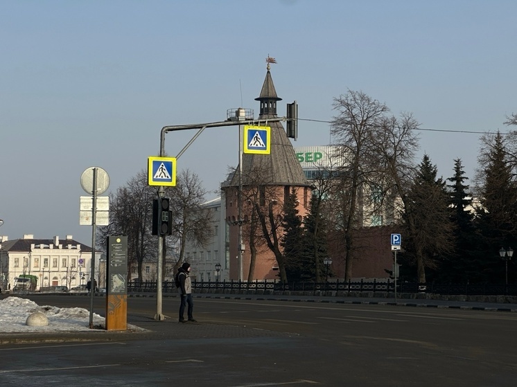 В Тульской области март закончится рекордным майским теплом