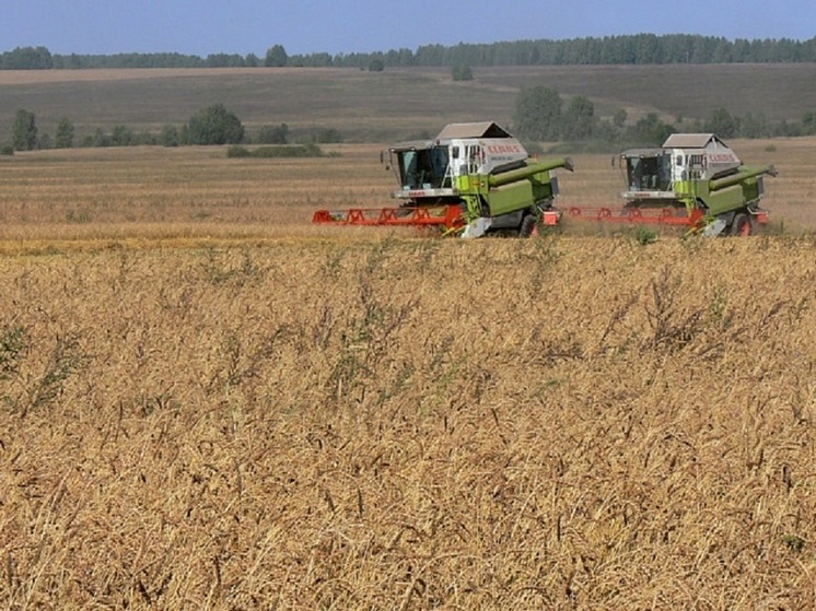 В Кировской области открылась вакансия министра сельского хозяйства и продовольствия