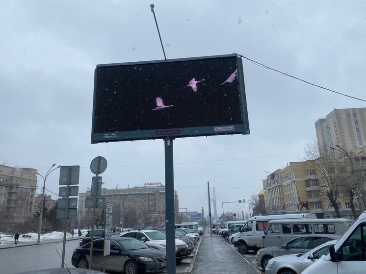 В Новосибирской области присоединились к акции в память о жертвах теракта в "Крокус Сити Холле"