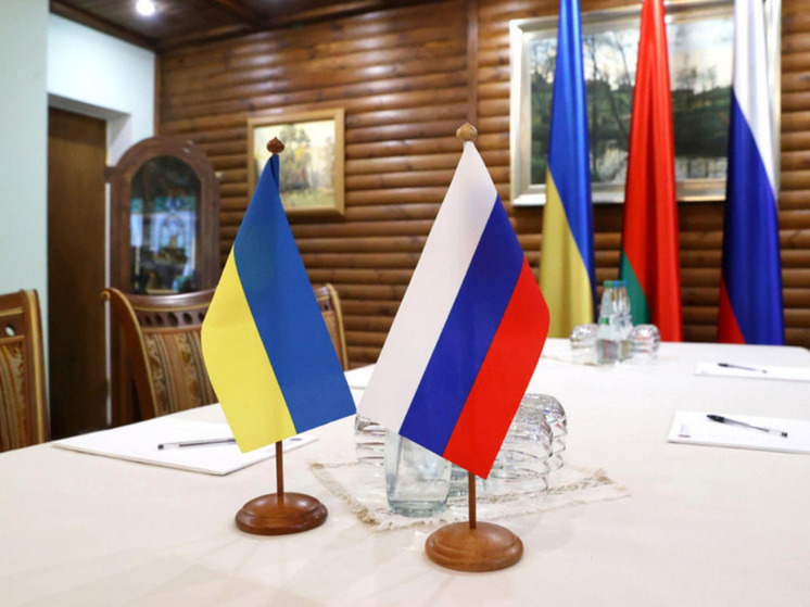 AT: переговоры по Украине лишат ее земель и приведут к созданию буферной зоны