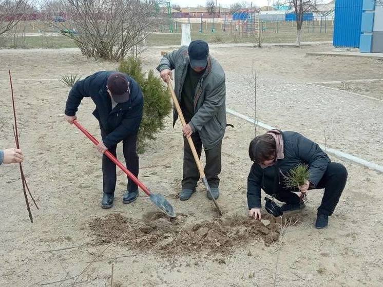 В Лаганском районе Калмыкии тоже появился «Сад памяти»