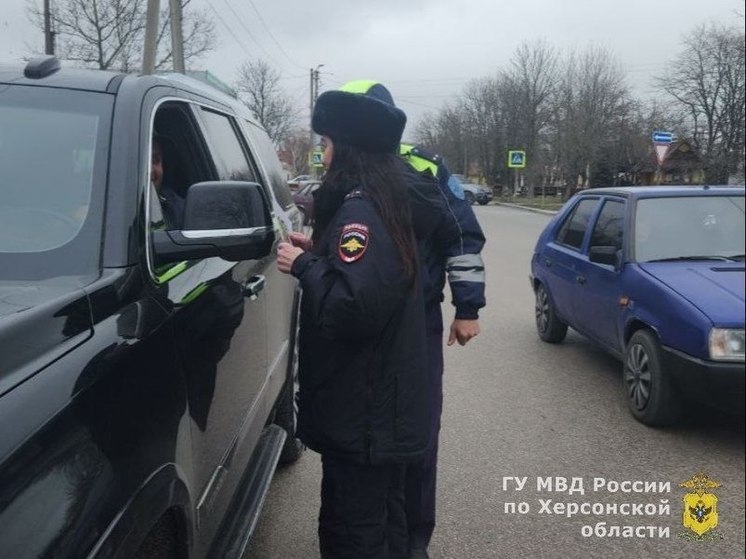 В Геническе прошла профилактическая акция ГАИ по использованию детских кресел