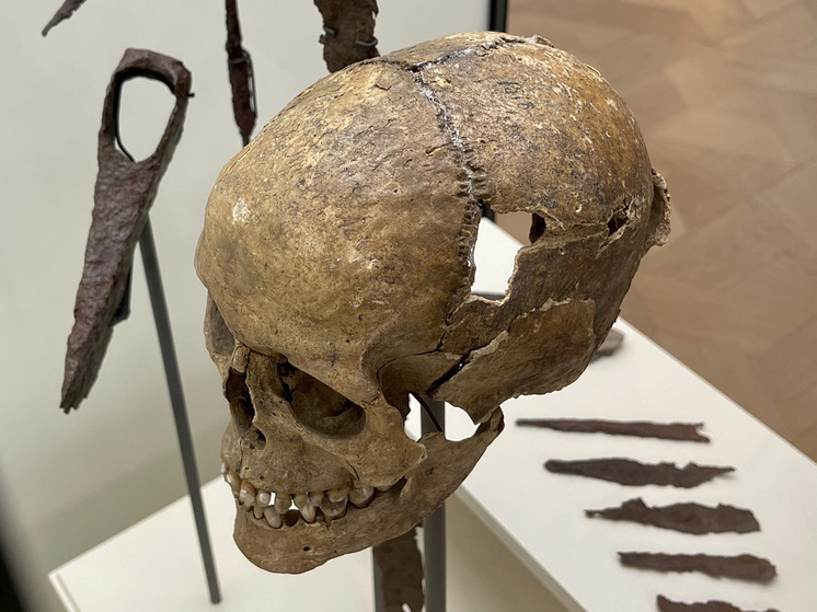 Интригующие модификации черепа обнаружены у женщин-викингов