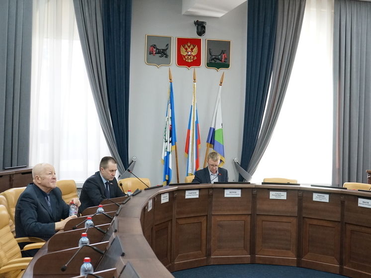 Иркутские депутаты рассмотрели схему избирательных округов на выборах в гордуму