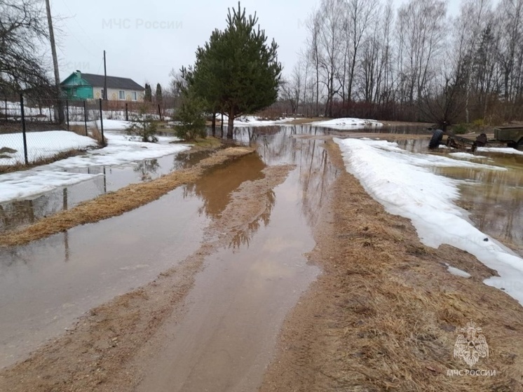 Паводковая ситуация в Смоленской области начинает усложняться
