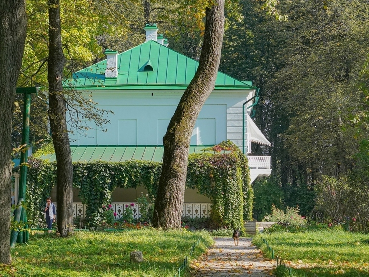 На реставрацию из «Ясной Поляны» отправятся рамы портрета Волконского