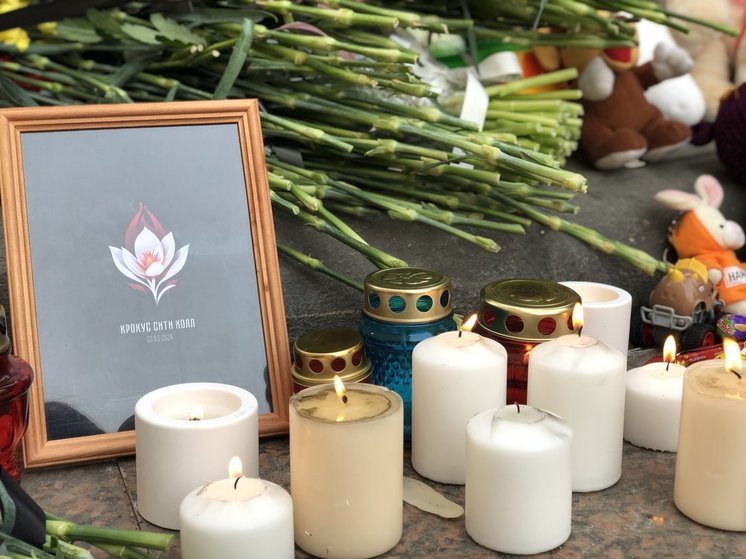 Свечи памяти и минута молчания: «Единая Россия» провела в регионе траурные акции в память о жертвах теракта