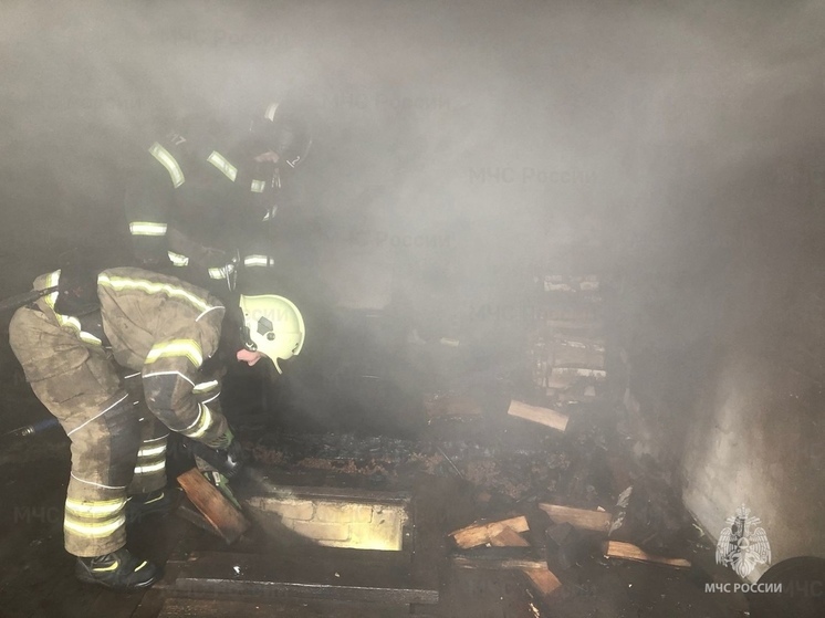 В Орловском округе пожарные спасли от огня 2 гаража