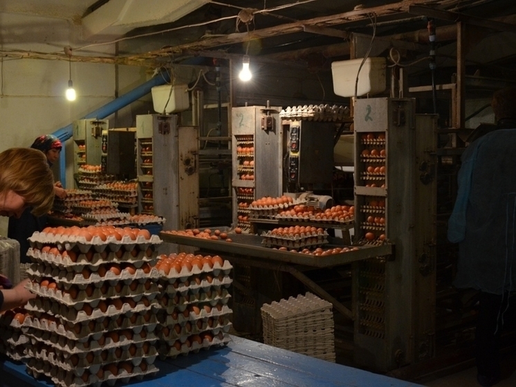 В Астраханской области готовятся банкротить птицефабрику «Степная»