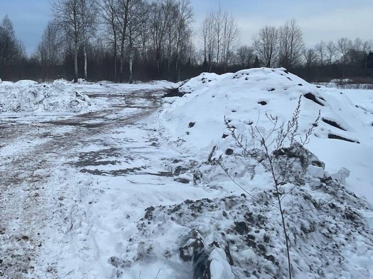 Владелец земли заплатит 24 млн рублей за причиненный ущерб почве