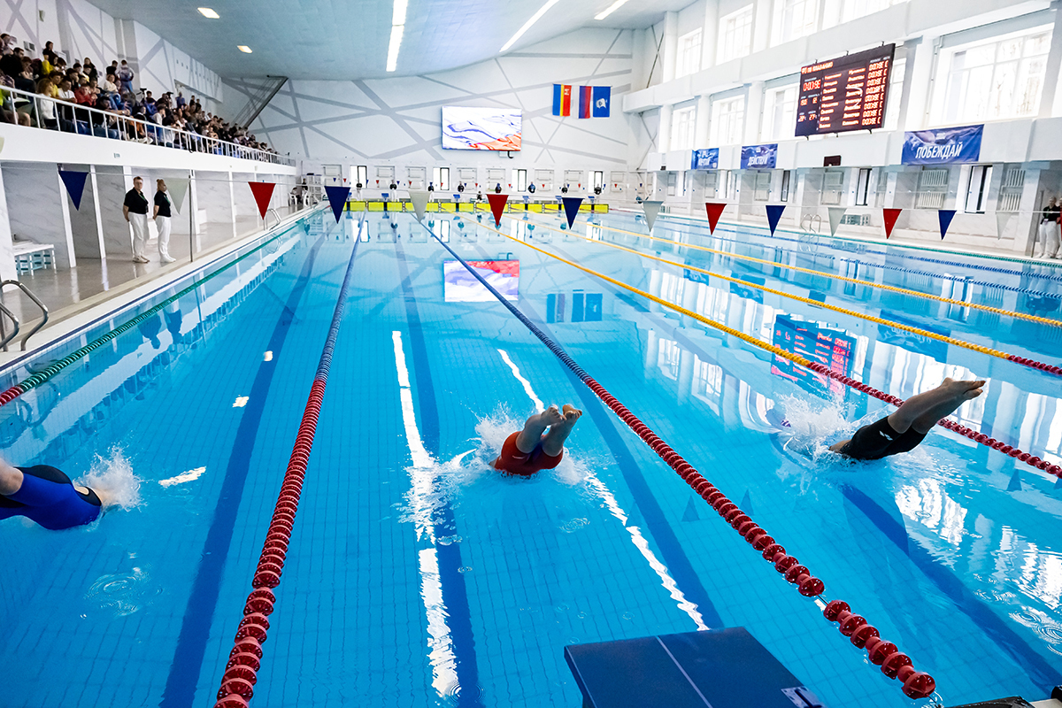Kaliningrad swimmers won more than 40 medals at the Northwestern Federal District championship