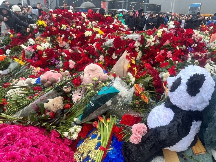 Постпред Японии в Совбезе ООН инициировал минуту молчания в память о жертвах теракта в "Крокусе"