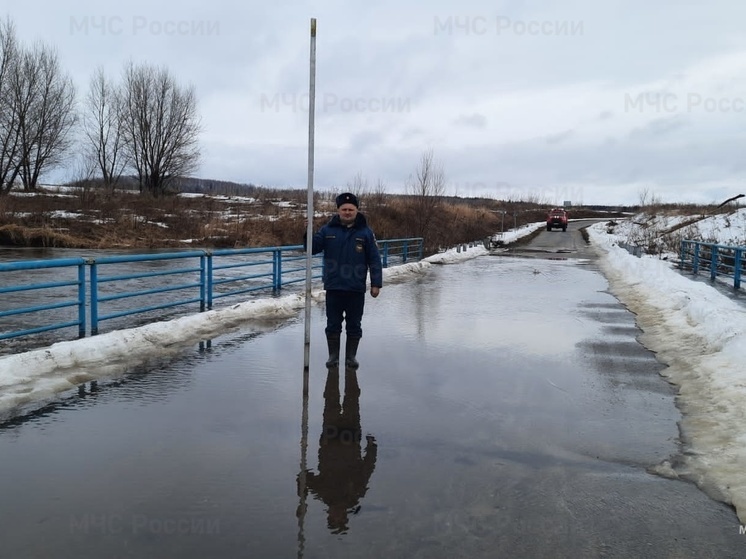 Из-за весеннего половодья на Орловщине подтопило шесть мостов