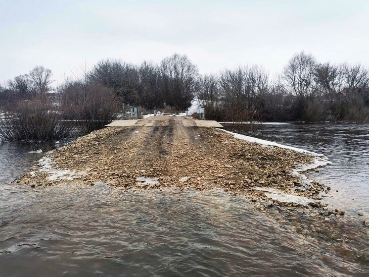 В Липецкой области паводок затопил мост через реку Олым