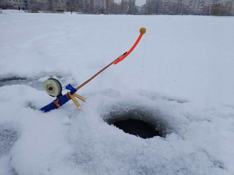 Спасатели вытащили из воды в Ленобласти за неделю 11 человек