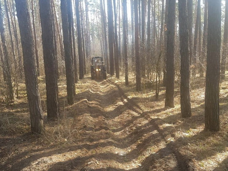 В Курской области утвердили сводный план тушения лесных пожаров на 2024 год