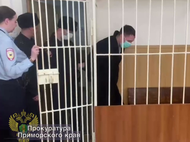 Арестован мужчина, напугавший автоматом посетителей ТЦ во Владивостоке