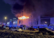 Житель Санкт-Петербурга был задержан в аэропорту "Пулково", причиной, предположительно, стал пост в соцсети о теракте в "Крокусе"