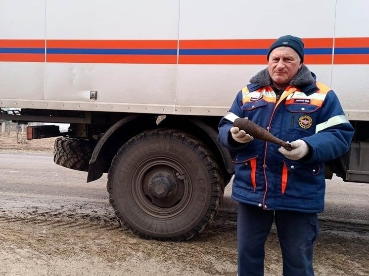 В Курской области обезвредили осколочную минометную мину