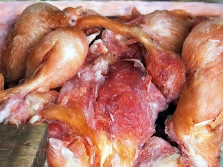 В камчатском городе Елизово украли почти центнер куриного мяса