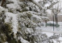 Снег, метели, ветер скоростью до 19-24 м/сек, гололедицу и похолодание на 10 и более градусов прогнозируют на 27 и 28 марта в Забайкальском крае