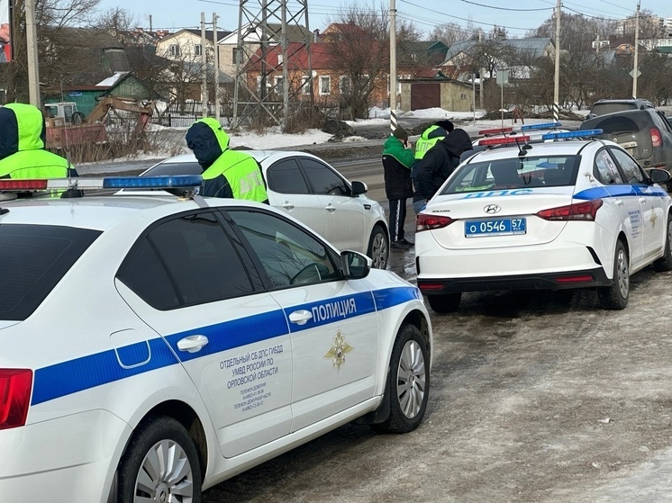 Орловская Госавтоиснпецкия вышла на борьбу с нетрезвыми водителями