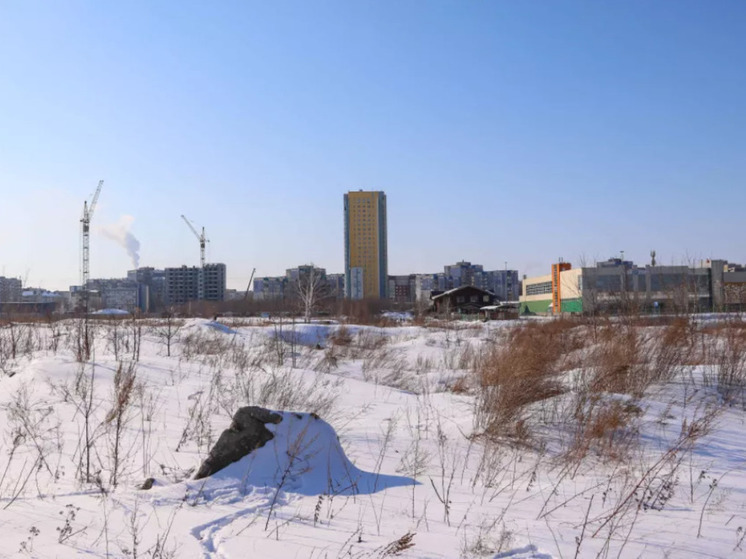 Алтайские архитекторы рассказали, что думают о проекте создания парка 300-летия Барнаула