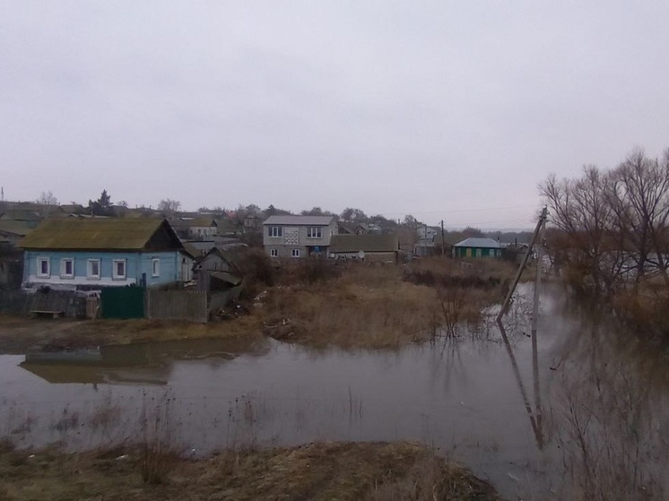 В Саратовской области затопило пять низководных мостов