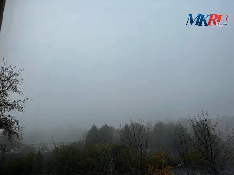 В Рязанской области продлили метеопредупреждение из-за туманной погоды