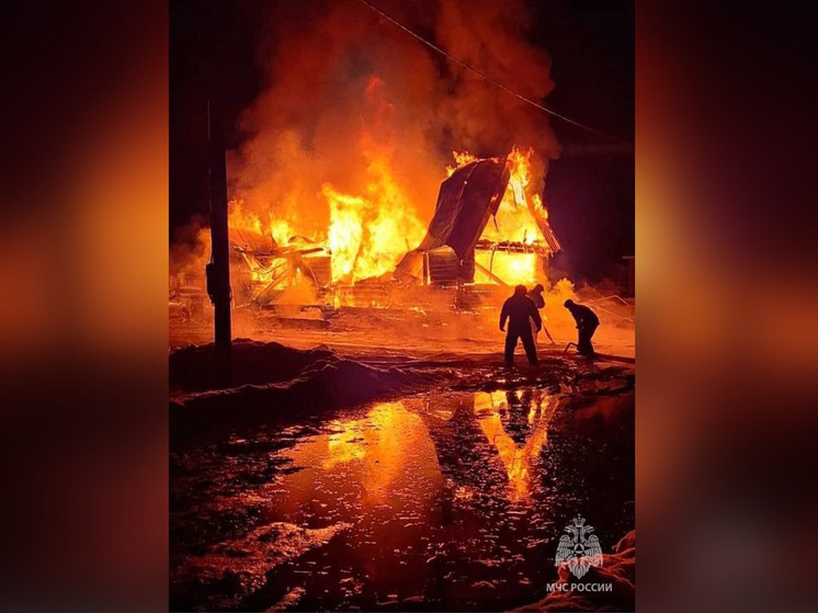 Две женщины и трое детей попали в реанимацию после пожара в Башкирии