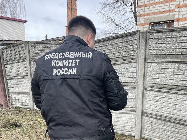 Коммерсанту продали землю под Брянском по цене в 15 раз дешевле рыночной