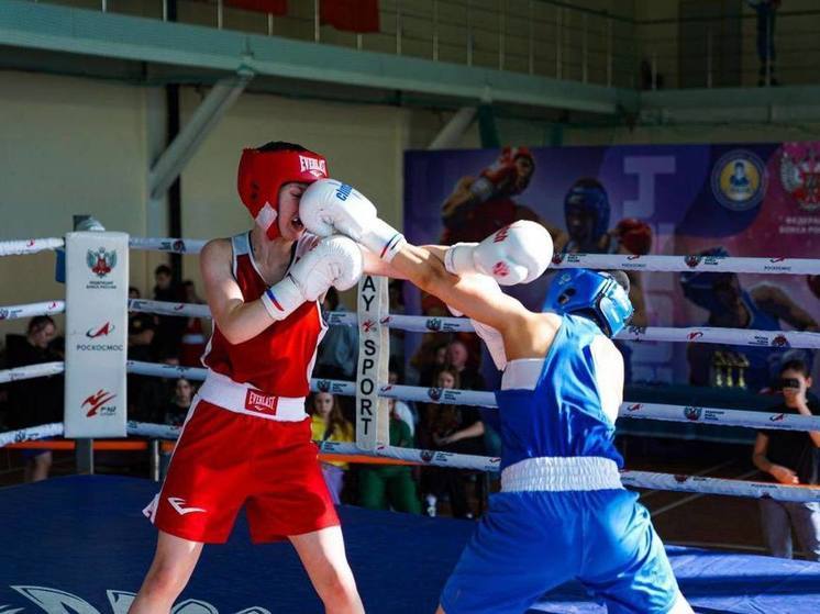 На турнире ЦФО девушки-боксеры Подмосковья завоевали 66 медалей