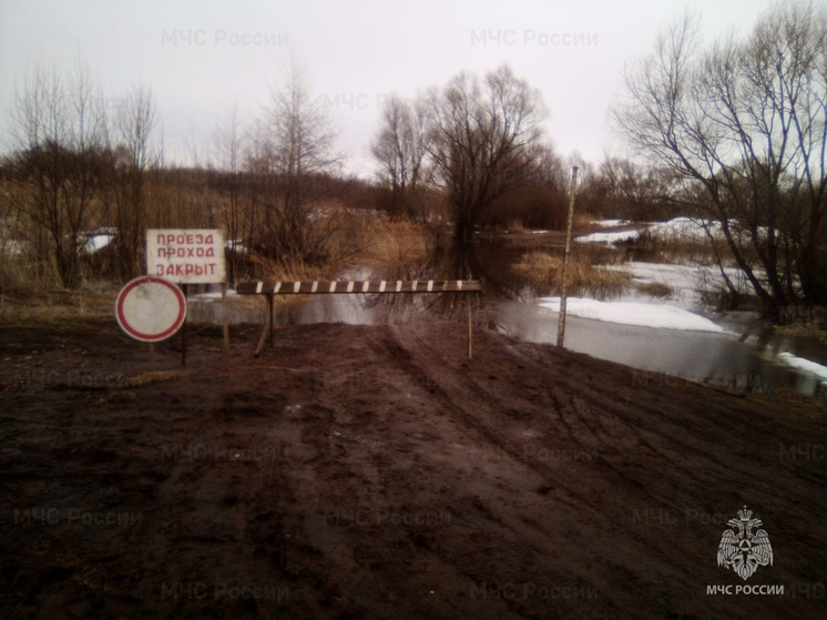 В Скопинском районе прогнозируется подтопление моста через реку Ранову
