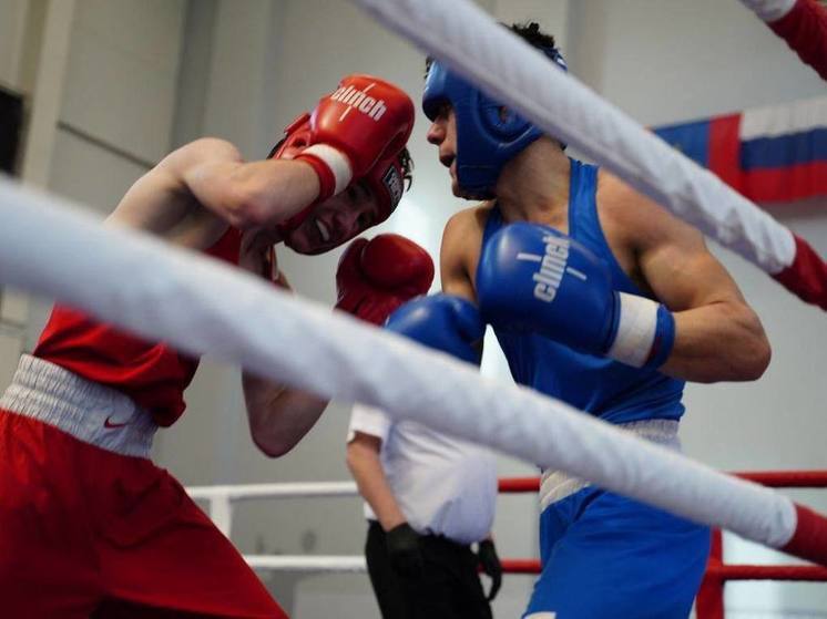 Подмосковные боксеры завоевали 17 медалей на турнире в Костроме