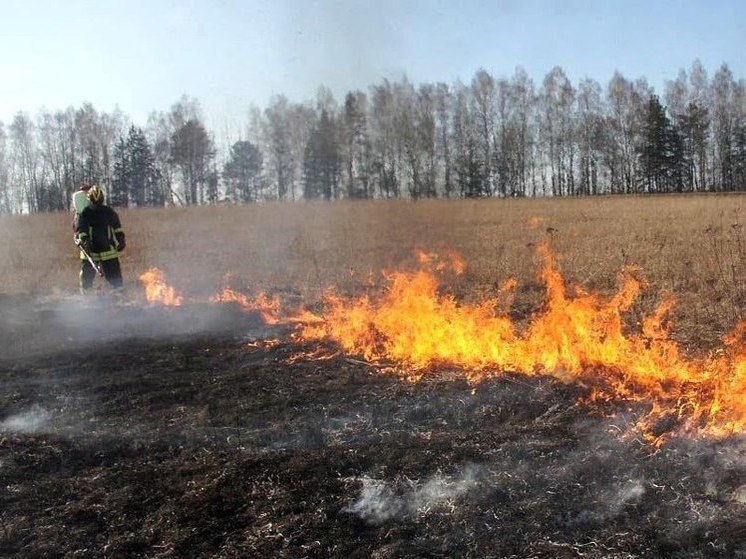 В Хакасии обсудили «термоточки» и работу структур в пожароопасный сезон
