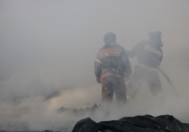 Трава и лес загорелись в районе Высокогорья в Чите. Об этом 26 марта корреспонденту сообщили в пресс-службе ГУ МЧС по Забайкальскому краю.