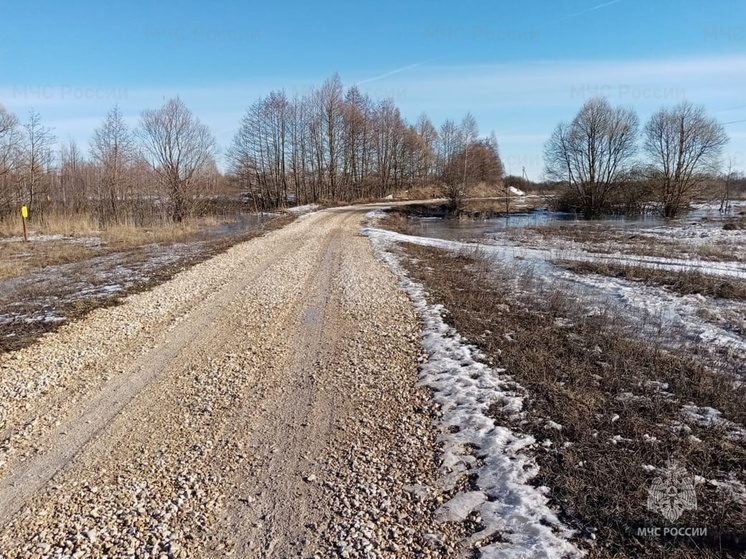 В Рязанской области прогнозируют подтопление семи низководных мостов