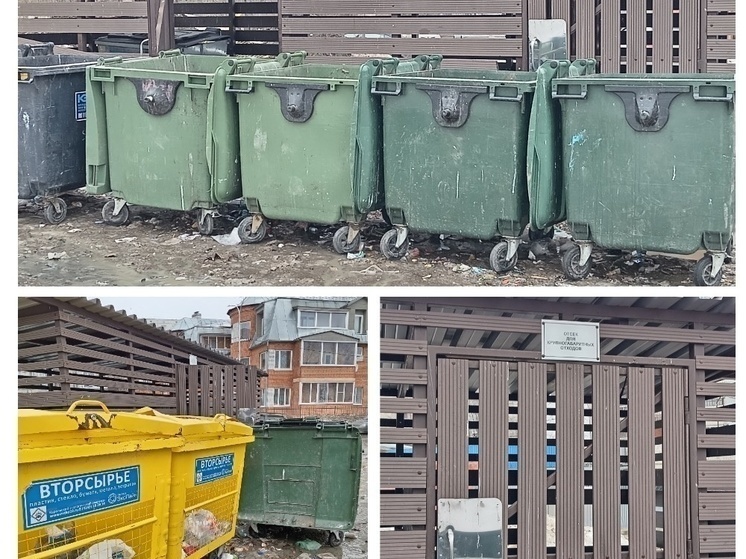 Госжилинспекция сообщила удручающие факты о помойках Петрозаводска