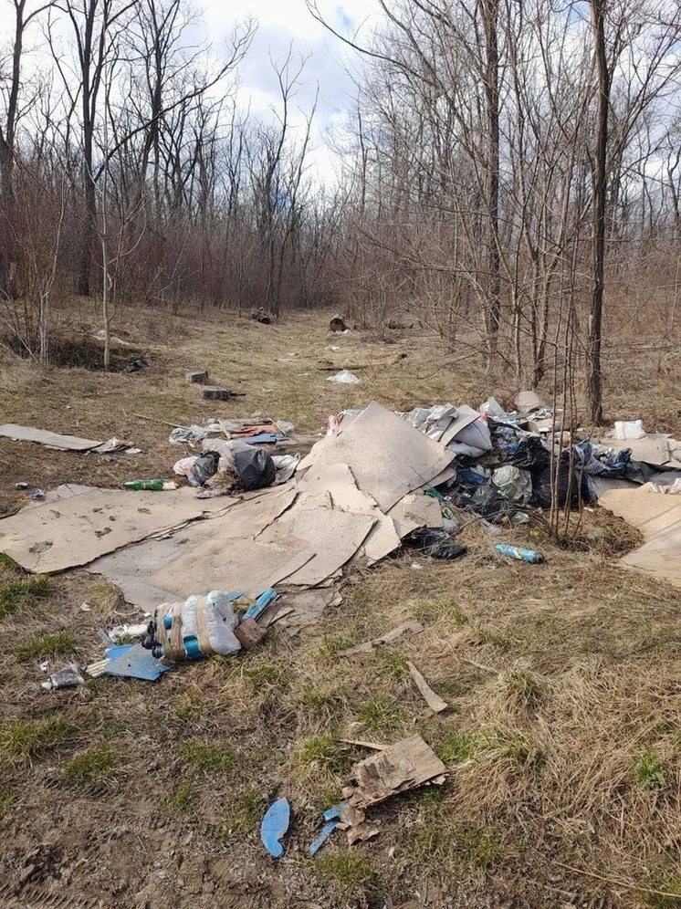 Ростовчане пожаловались на заваленное мусором Цыганское озеро