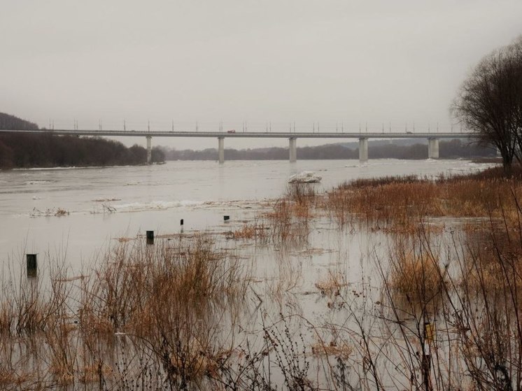 В трех районах Калужской области подтопило мосты и дороги