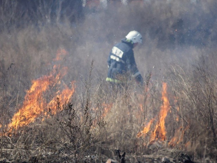 В Иркутске начались работы по контролируемому отжигу сухой травы для предотвращения пожаров